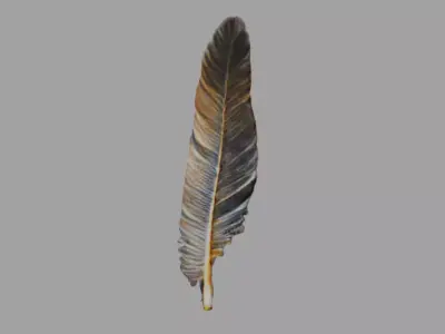 Big Bird Feather Low-poly 3D model