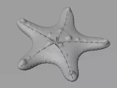 -Chocolate Chip Starfish - Rigged- 3D model