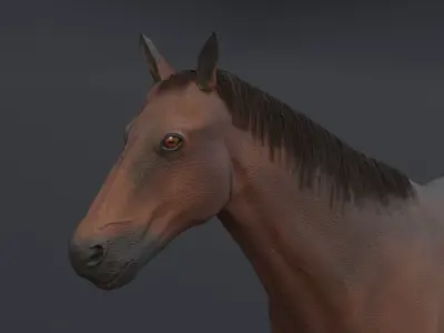 Horse Low-poly 3D model 15
