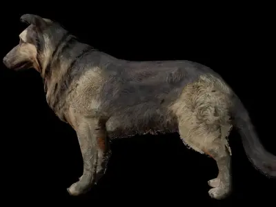Low Poly Dog last of us Low-poly 3D model