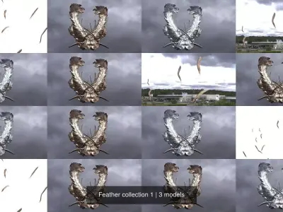 Feather collection 1 3D Model Pack