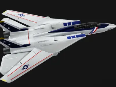 F-14 Jet Low-poly 3D model