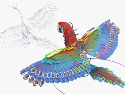 Red and Green Macaw Parrot Rigged 3D model