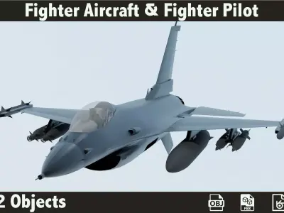 3D Fighter Aircraft and Fighter Pilot 3D model