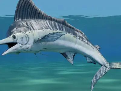 Sword Fish Animated Low-poly 3D model
