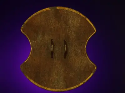 Radial Shield 3D model