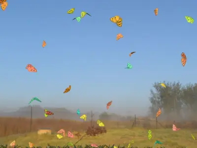 BUTTERFLIES ANIMATION Low-poly 3D model purchase