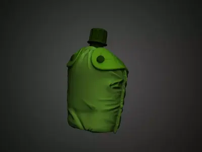 Military Canteen EEUU with Tactical Pouch 3D print model