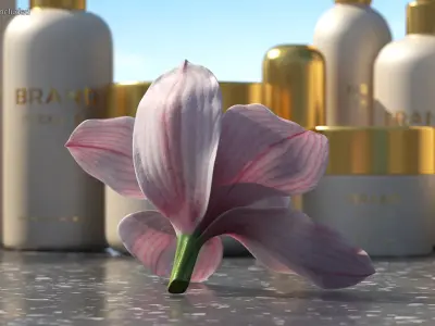 Hybrid Orchid Pink 3D model