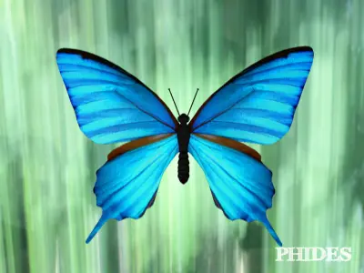 Butterfly 1 on leaf 3D model