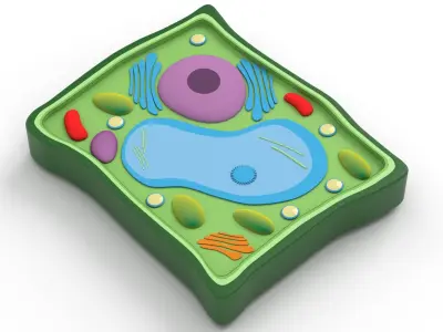 Plant Cell v3 3D model