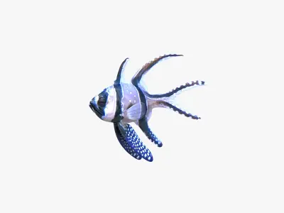  Banggai and Spotted Cardinalfish 