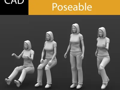 Solidworks CAD Human Female Poseable 3D model