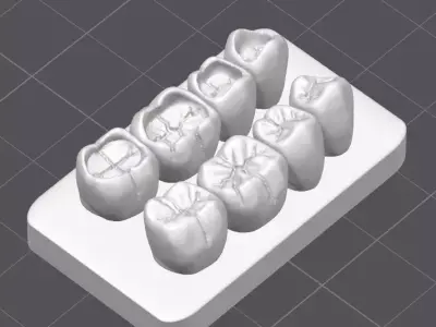 Occlusal Restoration Training Models  Upper and Lower 3D print model purchase