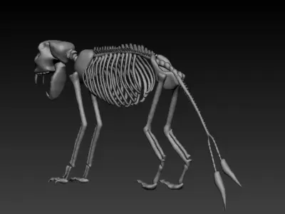 Dinosaur Skeleton 3D model