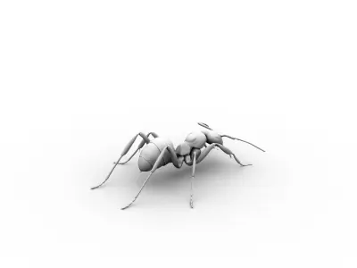 ant rig 3D model purchase