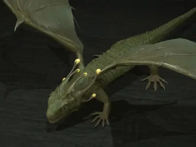 Dragon Low-poly 3D model 6