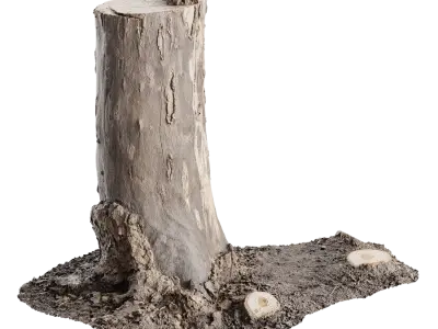  Medium Cut Bare Deciduous Stump Model 