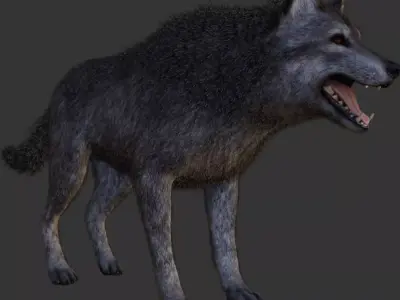 Wolf pack 3D model