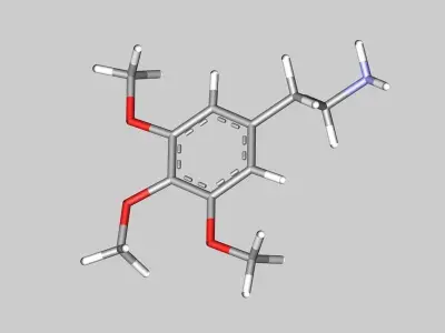 Mescaline molecule 3D model