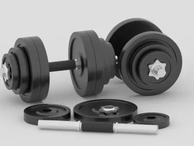 Gym Dumbbell 3D model buy