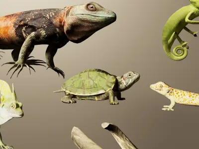 Reptile collection Free 3D model