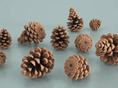 Pine Cones Pile with Open Scales Brown 