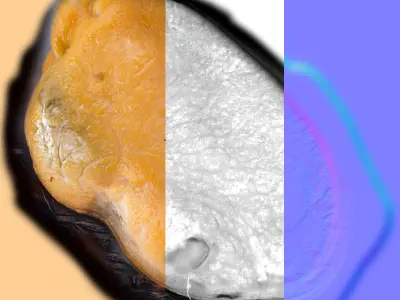 Mussel 3D model
