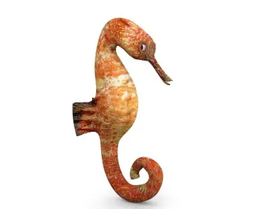 sea horse Low-poly 3D model purchase
