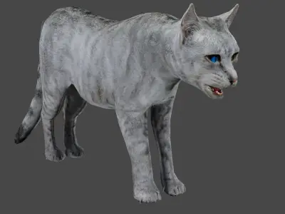 Heterochromia Cat Rigged Low-poly 3D model
