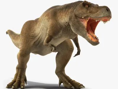 Animated Tyrannosaurus Rex Roaring Rigged for Cinema 4D 3D model
