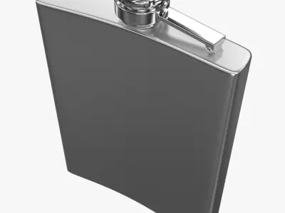Flask hip 3D model