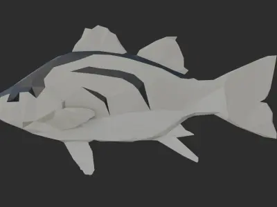 Low Poly White Bass Low-poly 3D model
