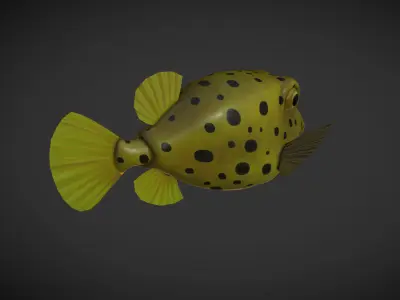 Puffer fish 01 Low-poly 3D model