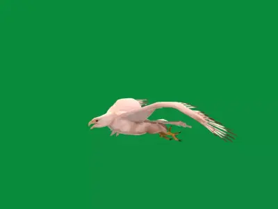 Gyrfalcon Bird Free low-poly 3D model