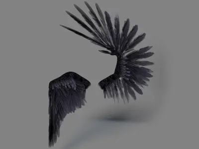  Bird Wings Rigged 