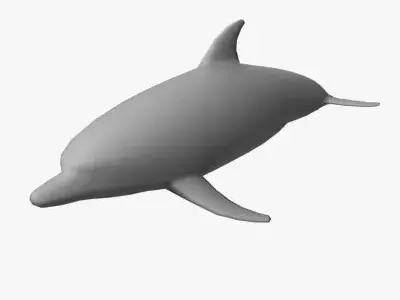 Low Poly Dolphin Low-poly 3D model buy