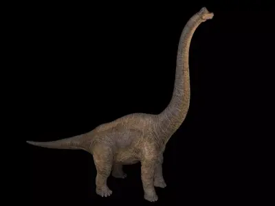 Brachiosaurus dinosaur Low-poly 3D model 5