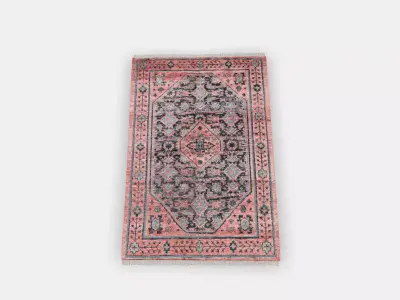 ISGRAS Rug low pile 1 3D model