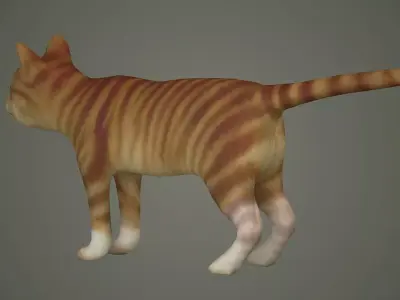 cats siamese tabby orange kitty animals puppy cat mammal  3D model