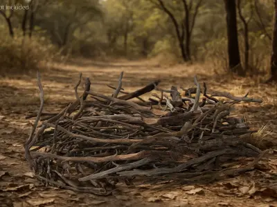  Dry Brushwood Pile Brown 