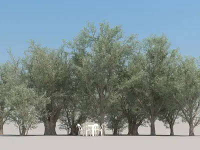 10 Olea Trees with snow 3D model