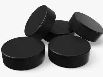 Hockey Puck 3D model buy