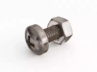 Screw 109 3D model