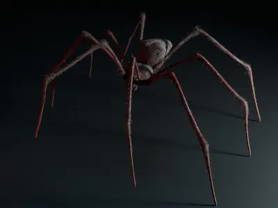 Giant Spider 3D model purchase