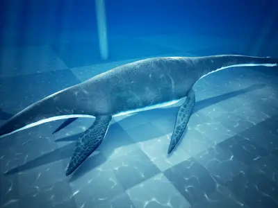 Plesiosaur Elasmosaurus - with UE4 Support Low-poly 3D model