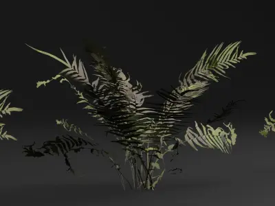 Fern Plant 3D model