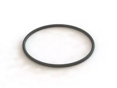 O Ring Vedabras 12753 3D model