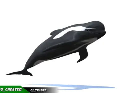 Low-Poly Long finned Whale Rigged Animated 3D model Low-poly 3D model