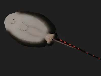 Stingray Low-poly 3D model